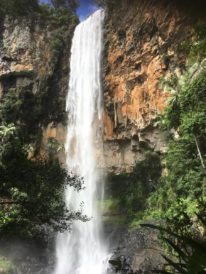  Purling Brook Falls Gwongorella  Спрингбрук